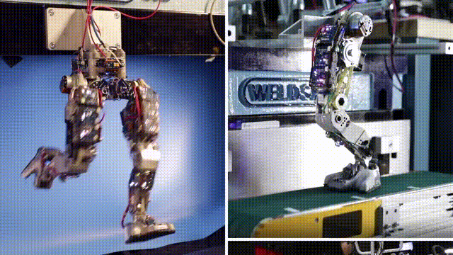 探秘迪士尼人形機器人：“樹人”格魯特表情生動，蜘蛛俠秀空中表演